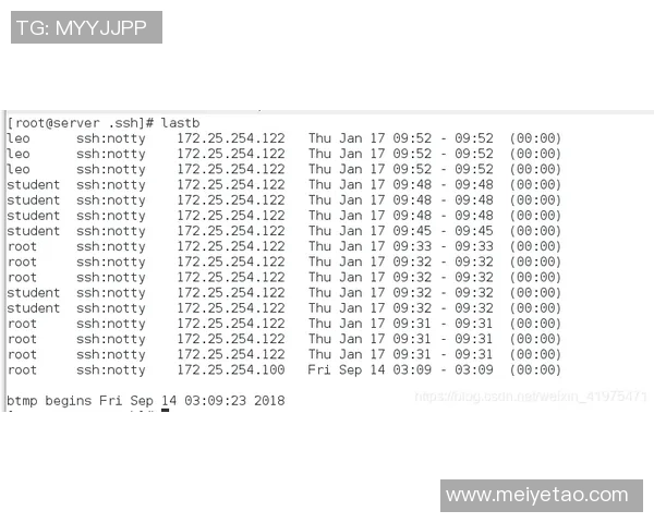 杭州乒乓球队控制策略解析与热点动态深度剖析